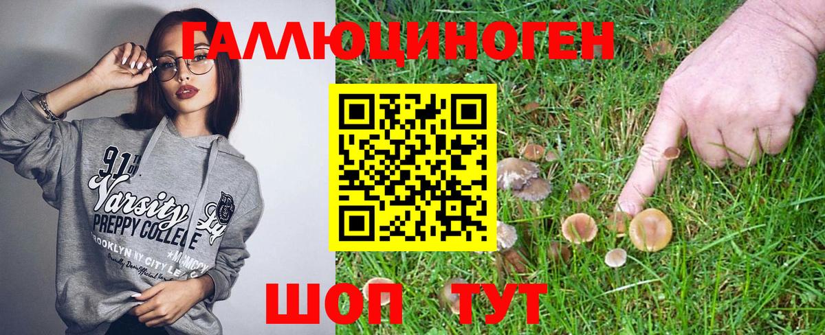 как найти   Галлюциногенные грибы Psilocybe  Галлюциногенные грибы Magic Shrooms  Вход с VPN  Мелеуз 
